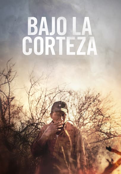 Bajo La Corteza