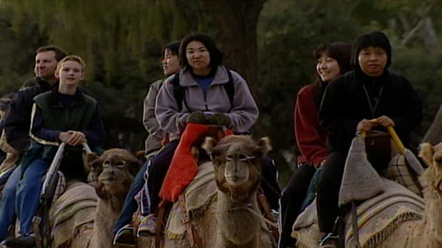 S01:E06 - Things You Have to See to Believe