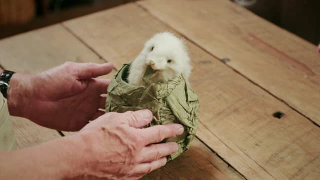 S02:E10 - Treasure Chest, Life Guard Helmet and Rabbit in a Cabbage Toy