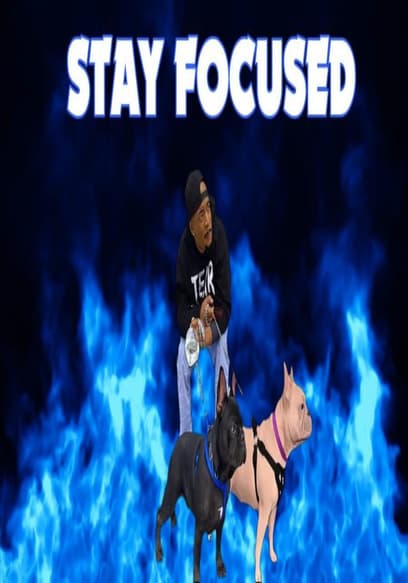 Stay Focused