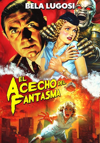 El acecho del fantasma poster