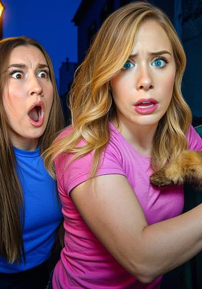 S02:E09 - Lost Dog Rescue at 3AM! poster