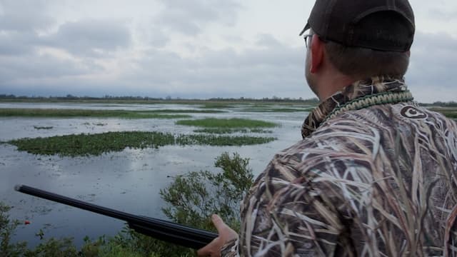 S01:E03 - Roots Run Deep