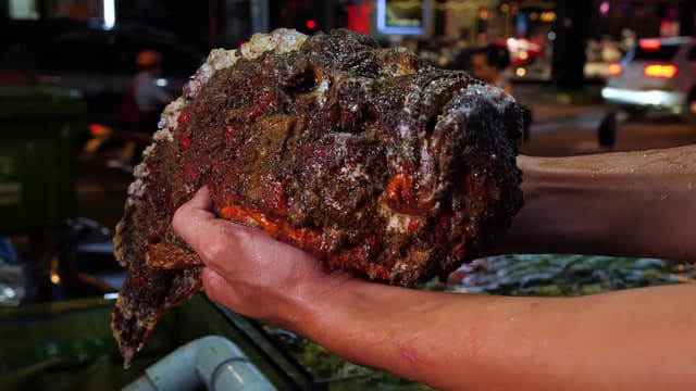 S01:E09 - A Dangerous Bite