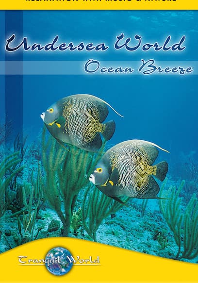 Undersea World Ocean Breeze: Tranquil World Relaxation With Music & Nature poster
