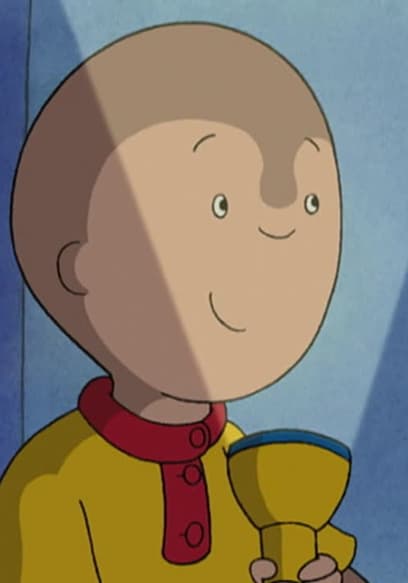 S02:E72 - The Little Bird // Lights Out // Caillou's Check Up // Calling Dr. Caillou poster