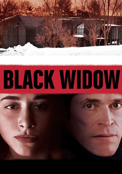 Black Widow
