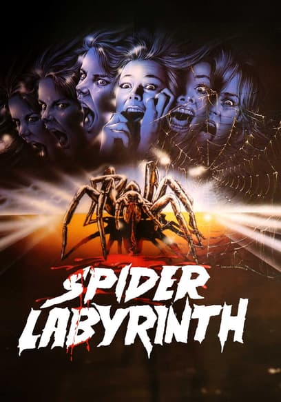 Spider Labyrinth poster
