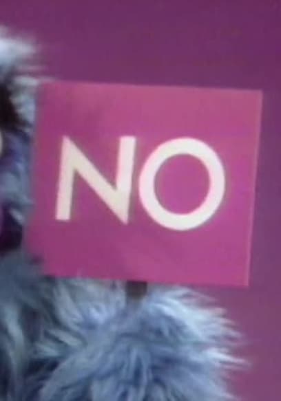 S06:E60 - Cookie Monster Is in Charge of Hooper’s Store poster