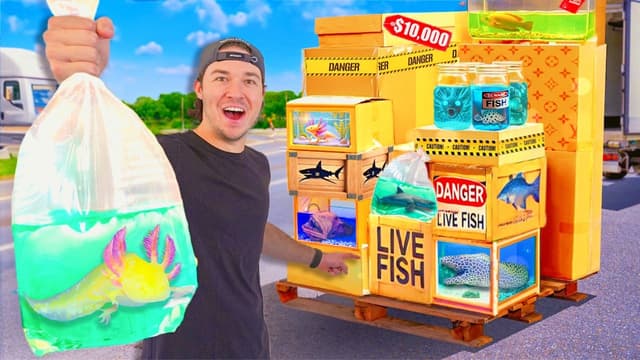 S01:E06 - I Bought Every Live Fish Mystery Box