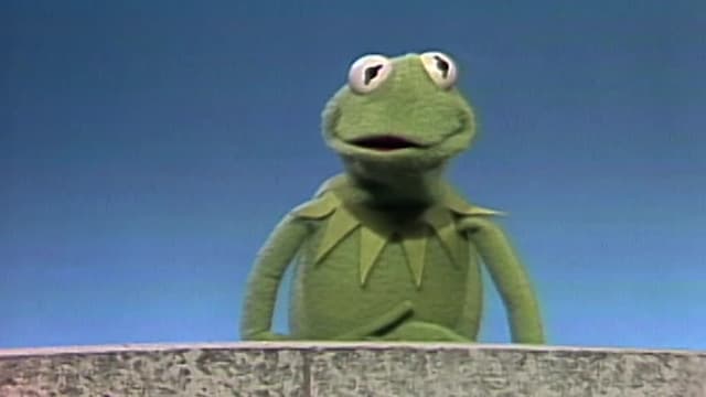 S11:E04 - An Island Picnic in Puerto Rico