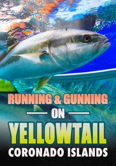 Running & Gunning on Yellowtail: Coronado Islands