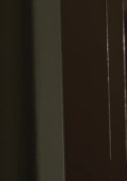 Shirley Adams Trailer