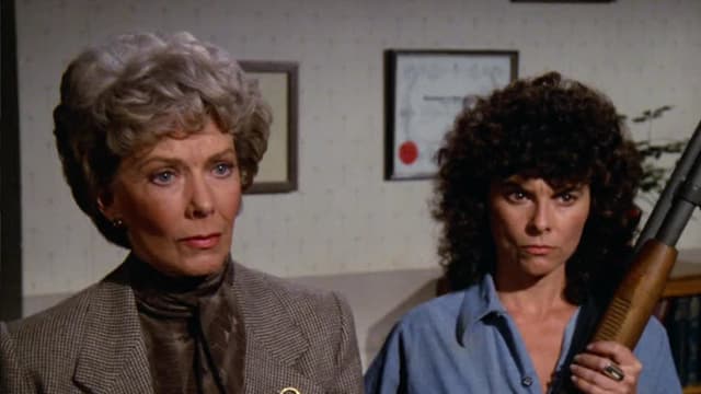 Watch Murder, She Wrote S02:E09 - Jessica Behind Bars - Free TV Shows ...