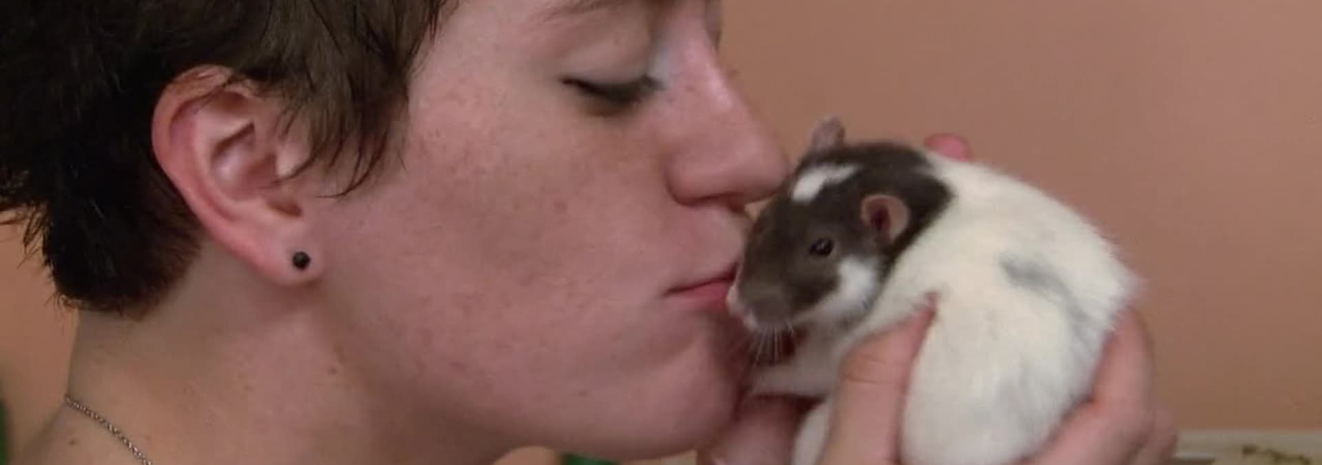 Watch Confessions: Animal Hoarding S04:E03 - Rats! - Free TV Shows | Tubi