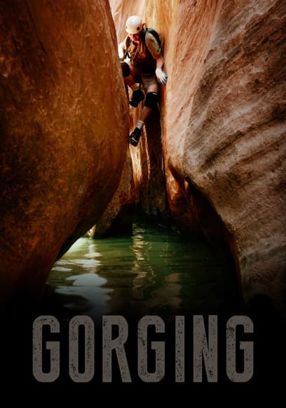 Gorging poster
