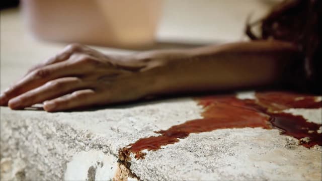 T01:C17 - S01:E17 - El Caso De Michele Gillet