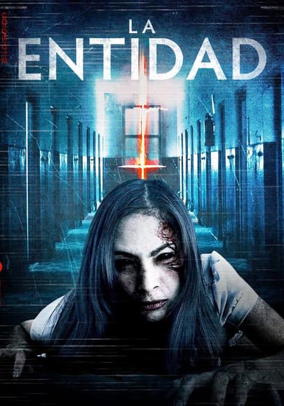 La Entidad