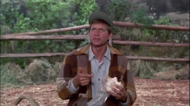 S05:E12 - Oliver and the Cornstalk