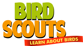 Bird Scouts: Learn About Birds