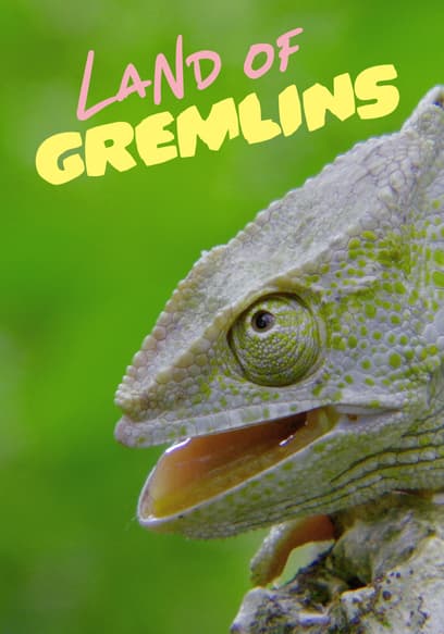 Land of Gremlins