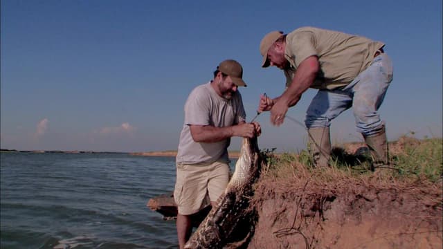 S05:E11 - Beast of the Lake