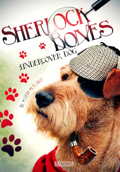 Sherlock Bones: Undercover Dog