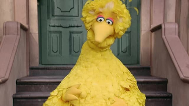 S35:E01 - The Street We Live On