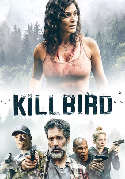 Killbird poster