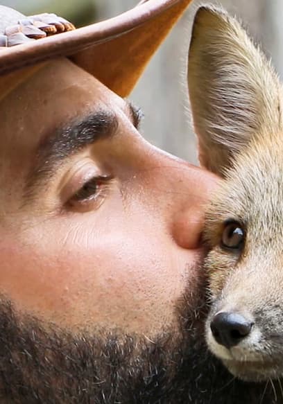 S01:E07 - Play Time: Baby & Friendly Foxes poster