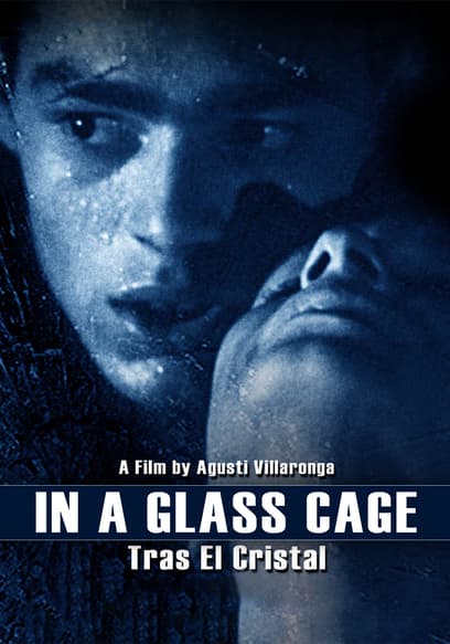 In a Glass Cage