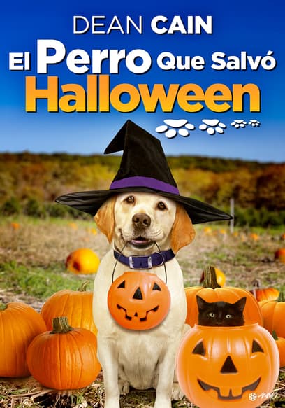 El perro que salvó Halloween (Doblado)