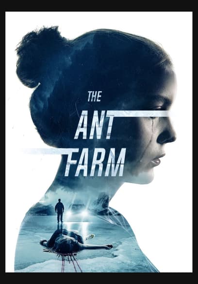 The Ant Farm