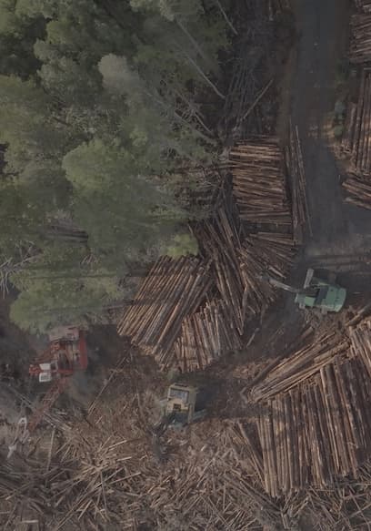 S01:E05 - Forestry poster
