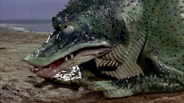 S01:E14 - Pearl Oyster Protection Directive