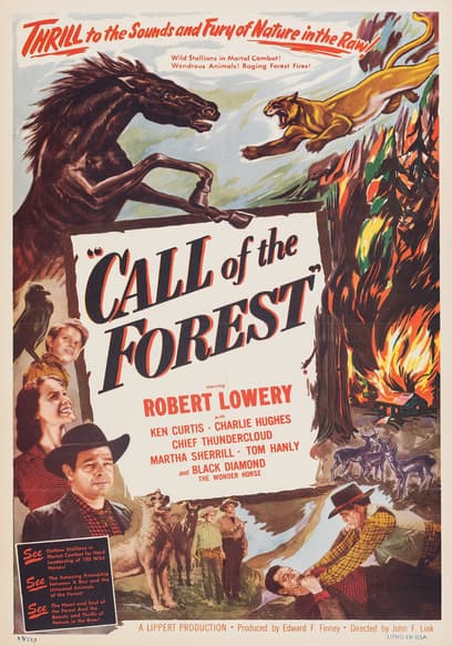 Call of the Forest