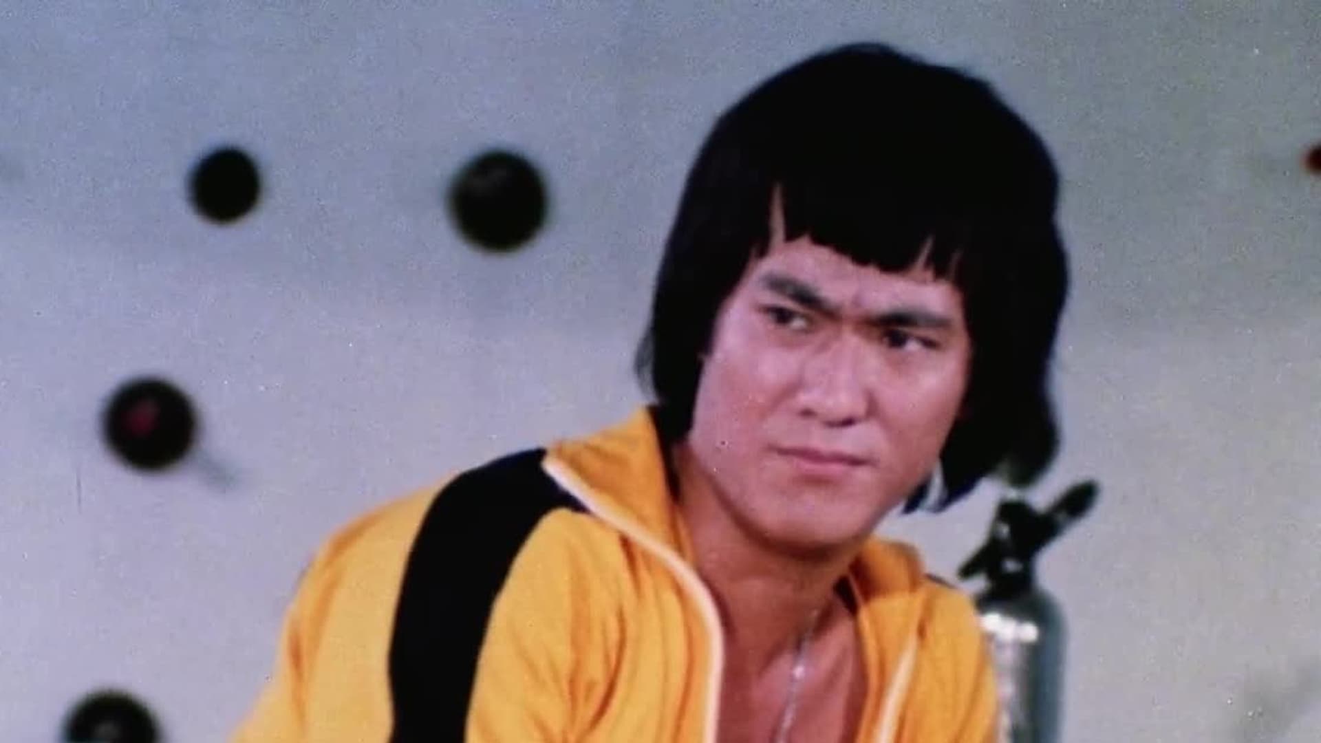 Watch Bruce Lee His Last Days His Last Nights 1976 Free Movies Tubi