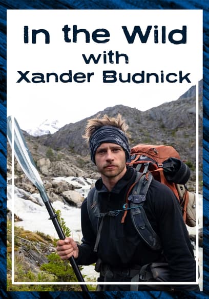 In the Wild with Xander Budnick poster