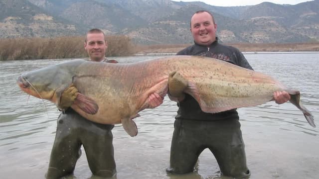 S01:E03 - European Maneater