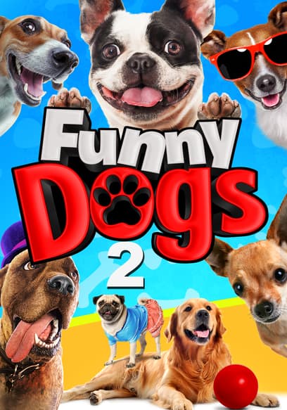 Funny Dogs 2