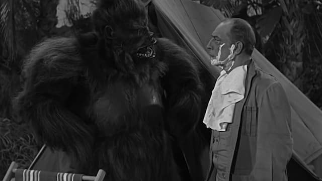 S01:E03 - The Gorilla Story