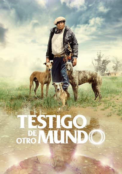 Testigo de otro mundo poster