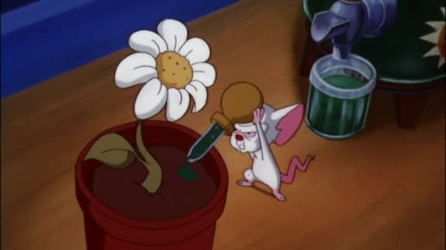S03:E12 - Brain Acres