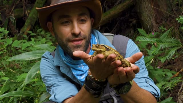 S05:E13 - Rare Blue Frog Caught!