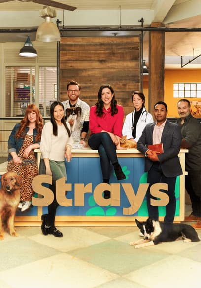 S01:E07 - Empty Nesters