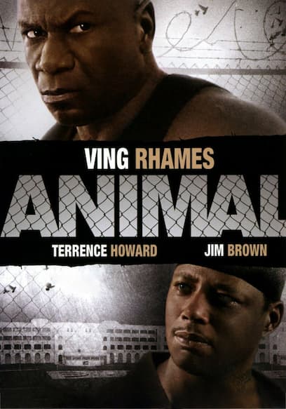Animal