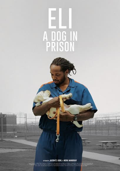 Eli: A Dog in Prison