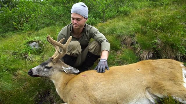 S01:E03 - Kodiak Sitka Blacktail DIY