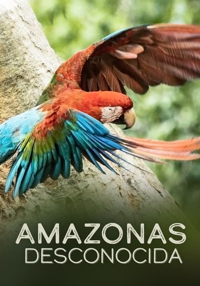 Amazonas Desconocida poster