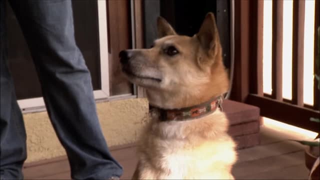S04:E14 - Lawnmower Love